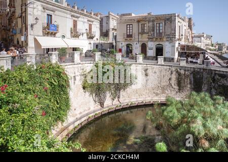 Berühmte Arethusa Quelle verbunden mit dem griechischen Erbe der Stadt und der griechischen Mythologie - Insel Ortygia, Syrakus (Sizilien, Italien) Stockfoto