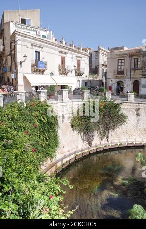 Berühmte Arethusa Quelle verbunden mit dem griechischen Erbe der Stadt und der griechischen Mythologie - Insel Ortygia, Syrakus (Sizilien, Italien) Stockfoto