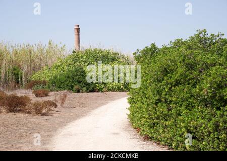 Naturlehrpfad im Naturschutzgebiet Vendicari - Südosten Siziliens, Italien Stockfoto