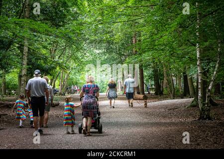 Menschen zu Fuß in Thorndon Country Park, Brentwood Essex Stockfoto