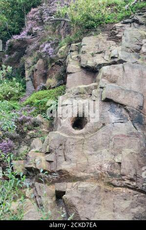 In ganz Großbritannien - der ausgearbeitete Denham Quarry, am Stadtrand von Chorley, Großbritannien. Häufig von Kletterern verwendet Stockfoto