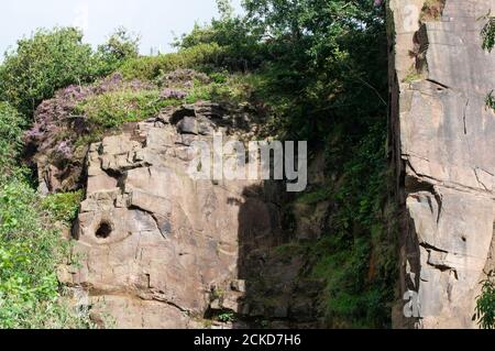 In ganz Großbritannien - der ausgearbeitete Denham Quarry, am Stadtrand von Chorley, Großbritannien. Häufig von Kletterern verwendet Stockfoto