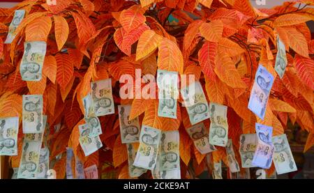 Thailändisches Geld auf dem Geldbaum werden die Menschen Verdienste verdienen, indem sie dem Tempel Geldbäume geben. Stockfoto