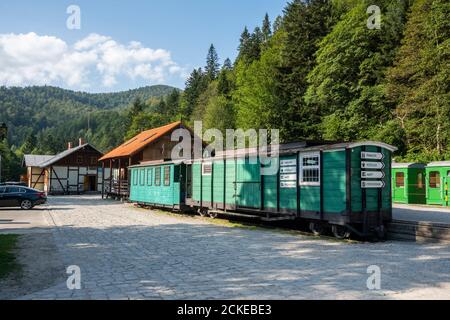 Bieszczady Waldbahn - Majdan Schmalspurbahnhof in den Bieszczady Bergen. Polen, Europa. Stockfoto