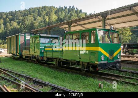 Bieszczady Waldbahn - Schmalspurbahn Draisine WMC an der Majdan Station. Bieszczady Berge, Polen, Europa. Stockfoto