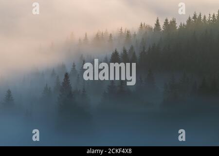 Frühe Herbstlandschaft in den schönen rumänischen Dörfern Stockfoto