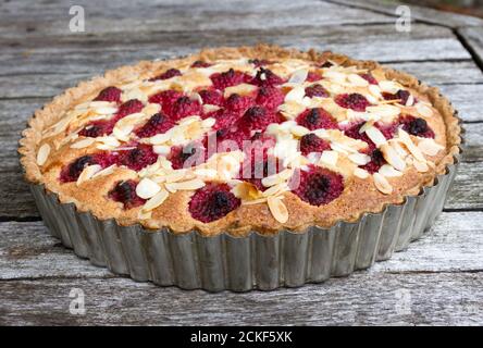 Frangipane-Tarte Stockfoto