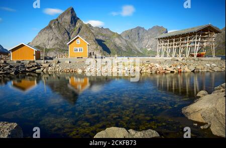 Traditionelles gelbes Rorbu-Haus in Trocknungsflocken für Stockfisch Kabeljau im norwegischen Fjord im Sommer. Sakrisoy Fischerdorf, Lofoten Inseln, Norwegen Stockfoto