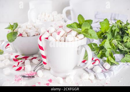 Hausgemachte Pfefferminze Heiße Schokolade. Zwei Tassen heißer Kakao, mit Minze, Marshmallow und Zuckerrohr, auf weißem Tischhintergrund Stockfoto