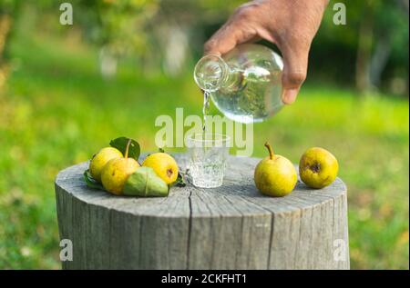 Hand eines Mannes Gießen Birne Rakia (starke alkoholische Getränk) In kleinem Glas in natürlicher Umgebung Stockfoto