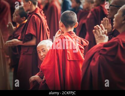 Choglamsar, Indien - AUGUST 19: Mönche und Nonnen beim Dalai Lama 14. Predigt am 19. AUGUST 2016 in Choglamsar, Leh Region, Jammu & Kashmir, Indien. Stockfoto