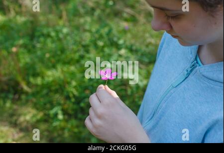 Kleines Mädchen hält winzige lila Blume in der Hand und Blick auf sie, Kind und Natur. Frohe Kindheit Stockfoto