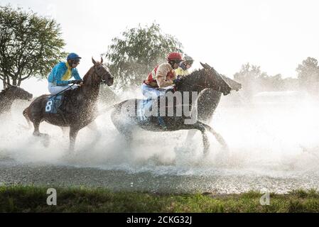 BRESLAU, POLEN - 13. SEPTEMBER; 2020: Greate Wroclawska International Horse Racing mit Zäunen für fünf Jahre und ältere Pferde auf Rennbahn WTWK Teil Stockfoto