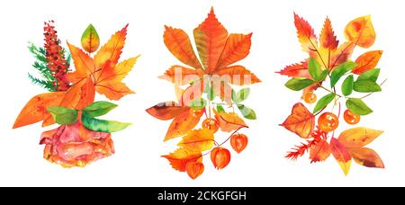 Eine Reihe von Herbststräußen, Aquarell Fall Blumenarrangements für Grußkarten, Plakate oder Hochzeitseinladungen, isoliert auf einem weißen Hintergrund, Rose, Kastanienblatt Stockfoto