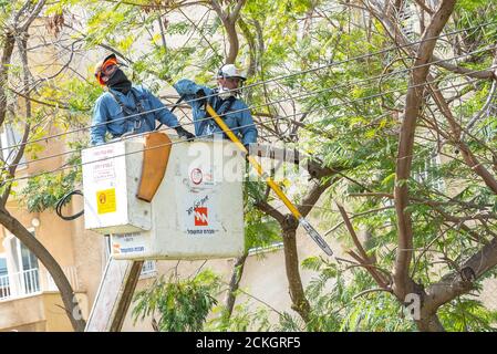 Mitarbeiter von Elektrounternehmen verwenden Elektrowerkzeuge und einen hydraulischen Aufzug Um den Höhenvorteil beim Schneiden von Ästen aus einem Baum zu gewinnen Das kann die Hochspannung berühren Stockfoto