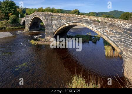 Die denkmalgeschützte Pont Fawr aus dem 17. Jahrhundert, eine schmale, dreigewölbte Steinbrücke über den Fluss Conwy in Llanrwst Stockfoto