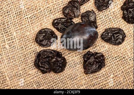 Saftige schwarze Pflaumen und getrocknete Pflaumen auf einem homespun Tuch mit einer rauen Textur. Nahaufnahme. Herbsternte Stockfoto