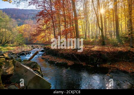 Kleiner Gebirgsfluss im Wald. Schöne Naturkulisse bei Sonnenaufgang. Buchen in buntem Laub. Sonniges Wetter Stockfoto