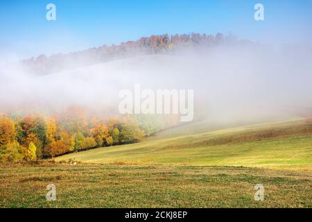 Herbstlandschaft im Morgennebel. Schöne Landschaft mit bunten Wald auf den grasbewachsenen Hügeln. Sonniges Wetter Stockfoto