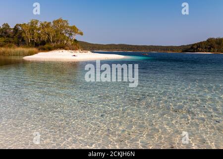 Paradise Island - Blick auf einen der Strände am Lake McKenzie, auf Fraser Island, Australien Stockfoto