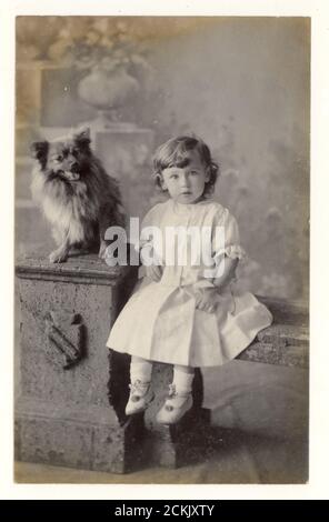 Originale Studiopostkarte aus den frühen 1900er Jahren eines kleinen Kindes (Mädchen oder Jungen, da sie in dieser Zeit gleich gekleidet waren) mit Hund, datiert von 1909 - R.Wilson, Carlton Studio, Consett, County Durham, England, UK Stockfoto