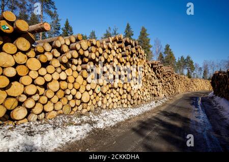 Stapel geernteter europäischer Fichtenstämme (Picea Abies, Tannenstämme), die auf den Transport warten, umgeben die Seiten einer Holzfällstraße in Spring, Finnland Stockfoto