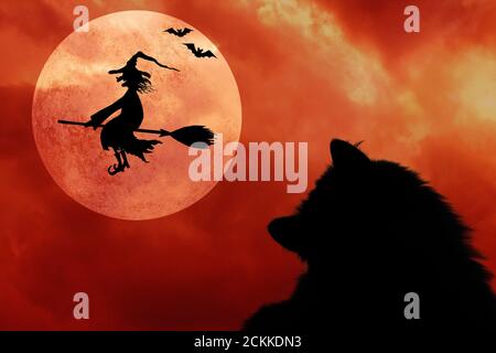 Halloween horizontalen Hintergrund mit Silhouetten von schwarzen Katze, Fledermäuse, Vollmond und lächelnd böse Hexe fliegen auf Broomstick mit Hut mit einer Warze auf t Stockfoto