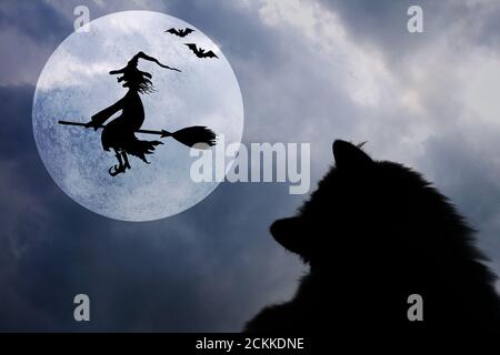 Halloween horizontalen Hintergrund mit Silhouetten von schwarzen Katze, Fledermäuse, Vollmond und lächelnd böse Hexe fliegen auf Broomstick mit Hut mit einer Warze auf t Stockfoto