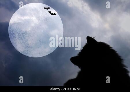 Halloween horizontaler Hintergrund mit Silhouetten von schwarzen Katzen, Fledermäuse und Vollmond auf dunklen gruseligen Nacht wolkigen Himmel. Halloween, Horror und Dekoration Co Stockfoto