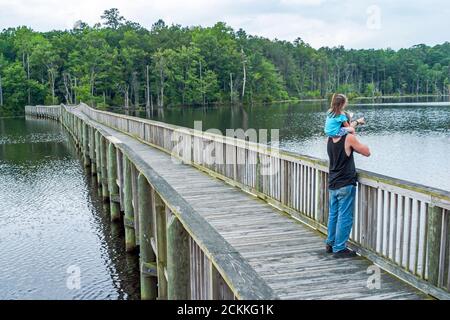 Virginia Newport News Park Erholung Natur Natur Landschaft, Mann Tochter Mädchen Familie erhöhte Promenade Wasser Beaverdam Creek, Stockfoto
