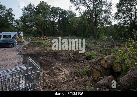 Denham Green, Großbritannien. September 2020. Ein Standort, an dem derzeit für die Hochgeschwindigkeitsschienenverbindung HS2 Baumfällung stattfindet. Für das HS2-Projekt im Colne Valley wurden bereits viele tausend Bäume gefällt und in Denham Green, Denham und Harefield findet derzeit der Baumschlag statt. Kredit: Mark Kerrison/Alamy Live Nachrichten Stockfoto