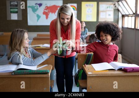 Lehrerin zeigt einem Jungen und einem Jungen einen Pflanzentopf Mädchen in der Klasse in der Schule Stockfoto