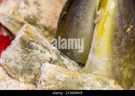 Stücke von Navaga Fisch in Teig, zum Braten in einer Pfanne vorbereitet. Stockfoto