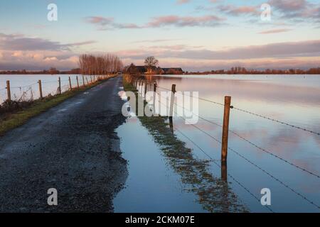 Die Zufahrt zu einem holländischen Bauernhof wird von Wasser überflutet Der Fluss IJssel in den Niederlanden Stockfoto