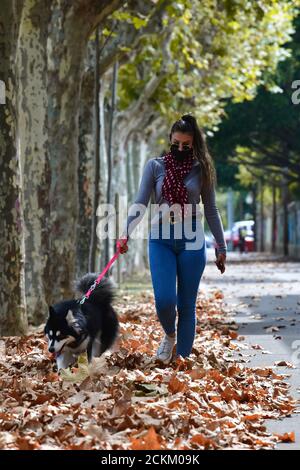 Ansicht einer Frau mit Brille, Gesichtsmaske und einem Schal, die einen Hund an einer rosa Leine auf trockenen Blättern führt. Herbstsaison und Haustierkonzept Stockfoto
