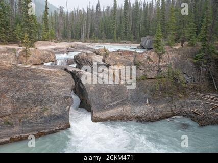 Die Naturbrücke am Kicking Horse River im Yoho National Park, British Columbia, Kanada Stockfoto