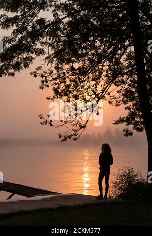 Silhouette Mädchen am hölzernen Steg während des Sonnenuntergangs in der frühen Morgen über dem Fluss maas in limburg in holland mit Die Bäume vernebeln und trüben Nebel Stockfoto