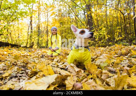 Kind spielt mit Jack Russell Terrier im Herbstwald. Herbstspaziergang mit Hund, Kindern und Haustierkonzept. Stockfoto