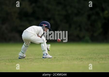 Kleiner Junge Wicket halten Stockfoto