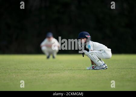 Kleiner Junge Wicket halten Stockfoto