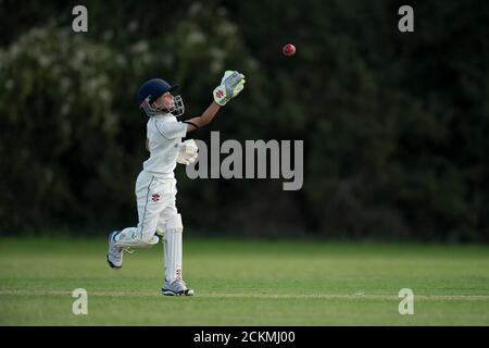 Kleiner Junge Wicket halten Stockfoto