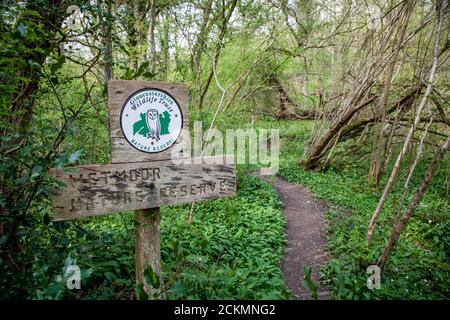 Gloucestershire Wildlife Trust Schild am Eingang zum Wald von Wetmoor Nature Reserve in der Nähe von Wickwar Glos UK Stockfoto