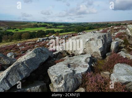 Im Sommer im North York Moors National Park in der Nähe von Goathland, Yorkshire, Großbritannien, findet man eine schroffe Moorlandschaft mit großen Felsbrocken und blühenden Wildheiden. Stockfoto