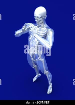 3D Illustration der menschlichen Anatomie – Röntgenaufnahme am Skelett. Stockfoto