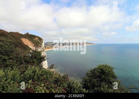 Seaton Strand und Kosten Stockfoto