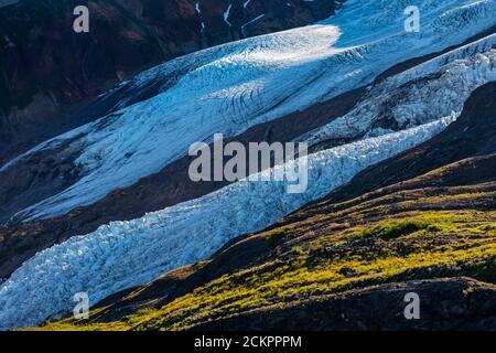 Coleman und Roosevelt Glaciers im Morgenlicht, vom Heliotrope Ridge unter Mount Baker, Mount Baker-Snoqualmie National Forest, Washington St Stockfoto