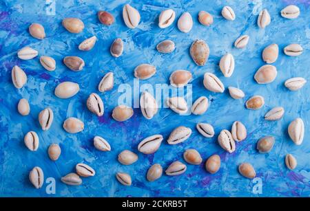 Verschiedene Muschelmuster auf blauem Beton-Hintergrund, Draufsicht, flaches Lay. Stockfoto