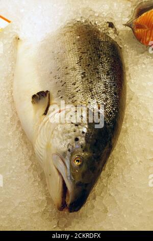 Lachs, Fischgeschäft, Zentralmarkt, Centraltirgus, Riga, Lettland, Europa Stockfoto