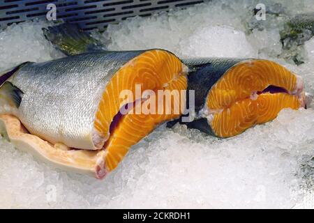 Lachs, Fischgeschäft, Zentralmarkt, Centraltirgus, Riga, Lettland, Europa Stockfoto