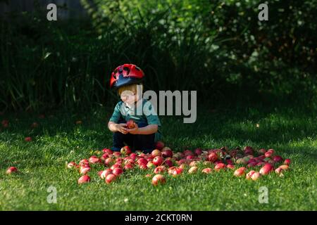 Kleiner Junge, der in einem Haufen roter Äpfel sitzt Ein roter Fahrradhelm Stockfoto